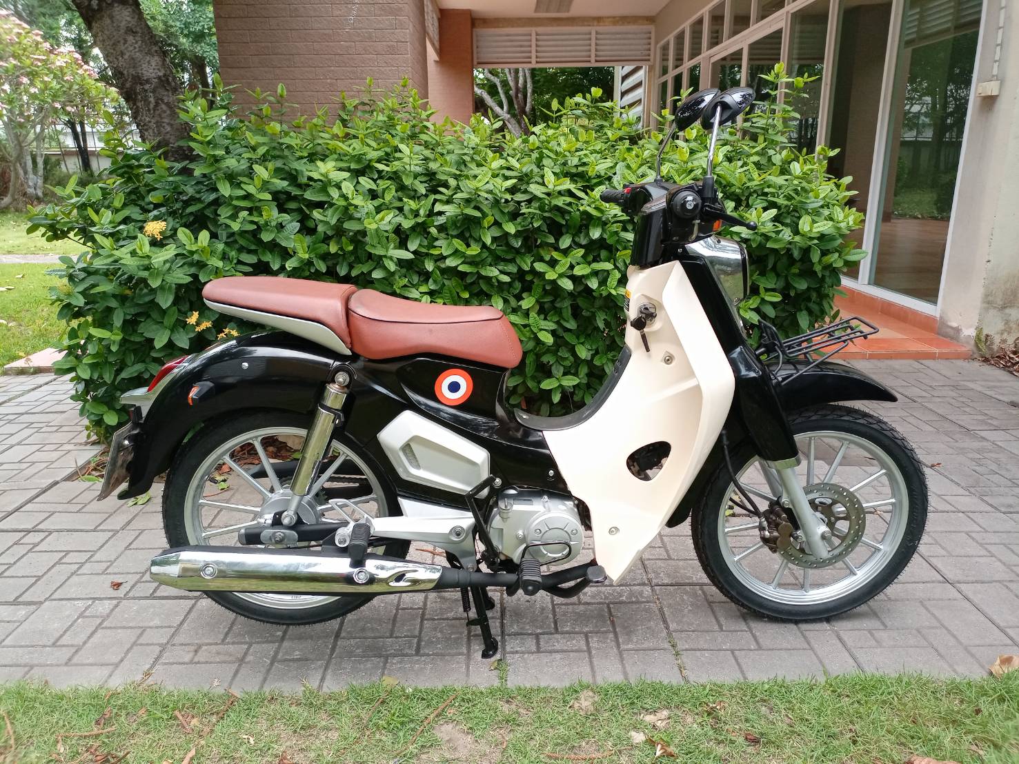 POPZ 110
