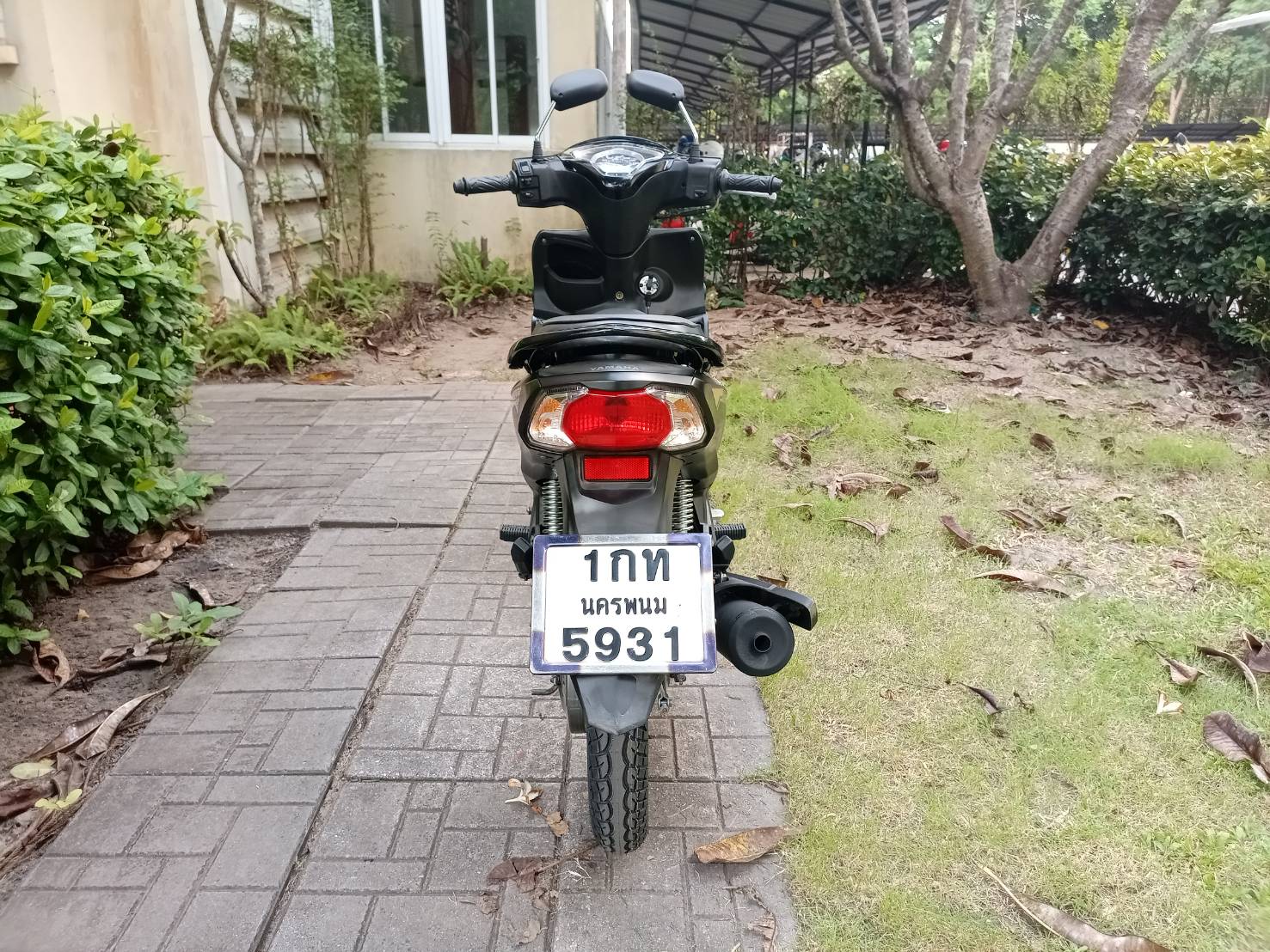 FINN 115 ดิสก์เบรกหน้า สตาร์ทมือ ล้อแม็ก UBS