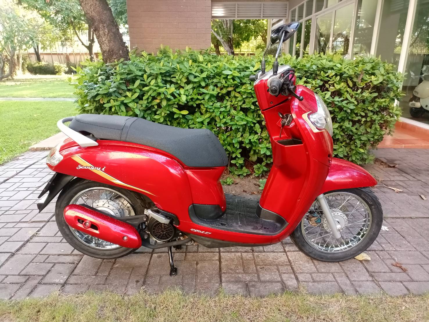 Scoopy i