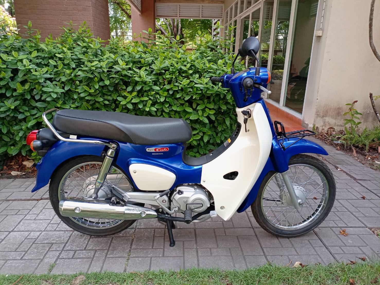 Super Cub สตาร์ทมือ ดรัมเบรก